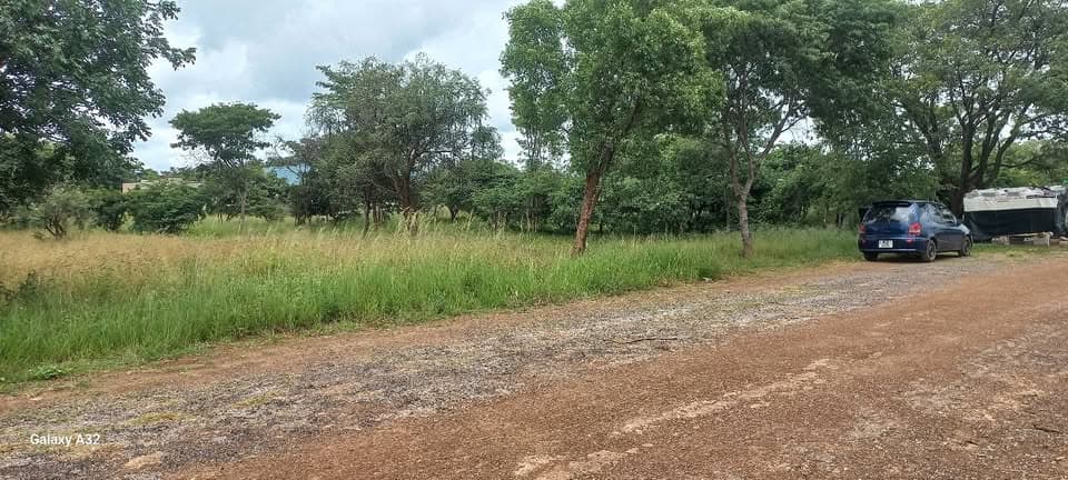 PLOT FOR SALE IN CHALALA LILAYI ESTATE AREA SALE: RESIDENTIAL PLOTS OFF KASAMA ROAD (30m X 30m)