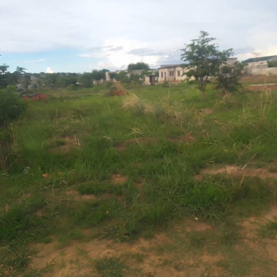 Plot for sale in kasupe HURRY DON'T MISS OUT K55,000 NEGOTIABLE 20M BY 30M PLOT FOR SALE IN KASUPE