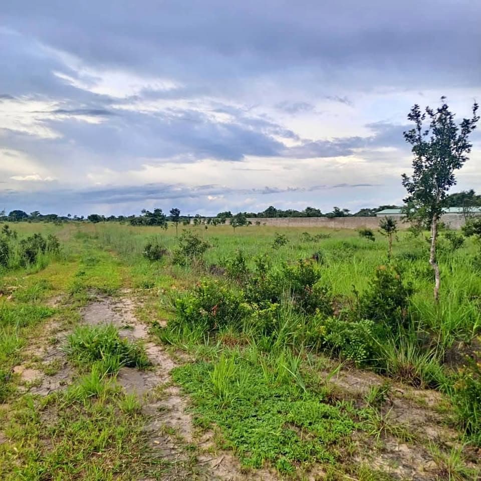 4 acres land for sale in silverest 4 acres land for sale in silverest near vox restaurant.